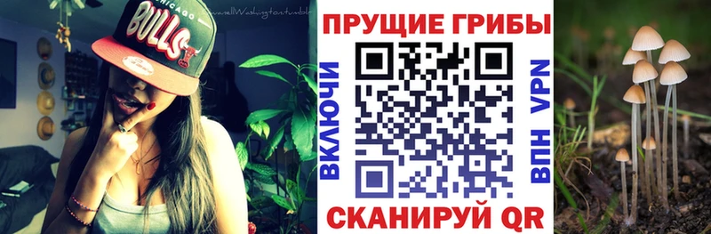 Галлюциногенные грибы Cubensis  Макушино 